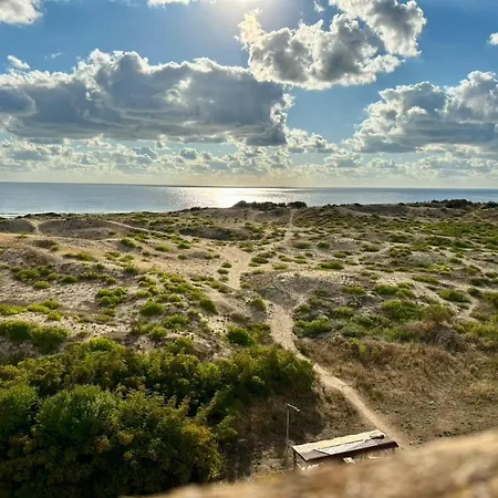 酒店 тропикана 普里莫尔斯科